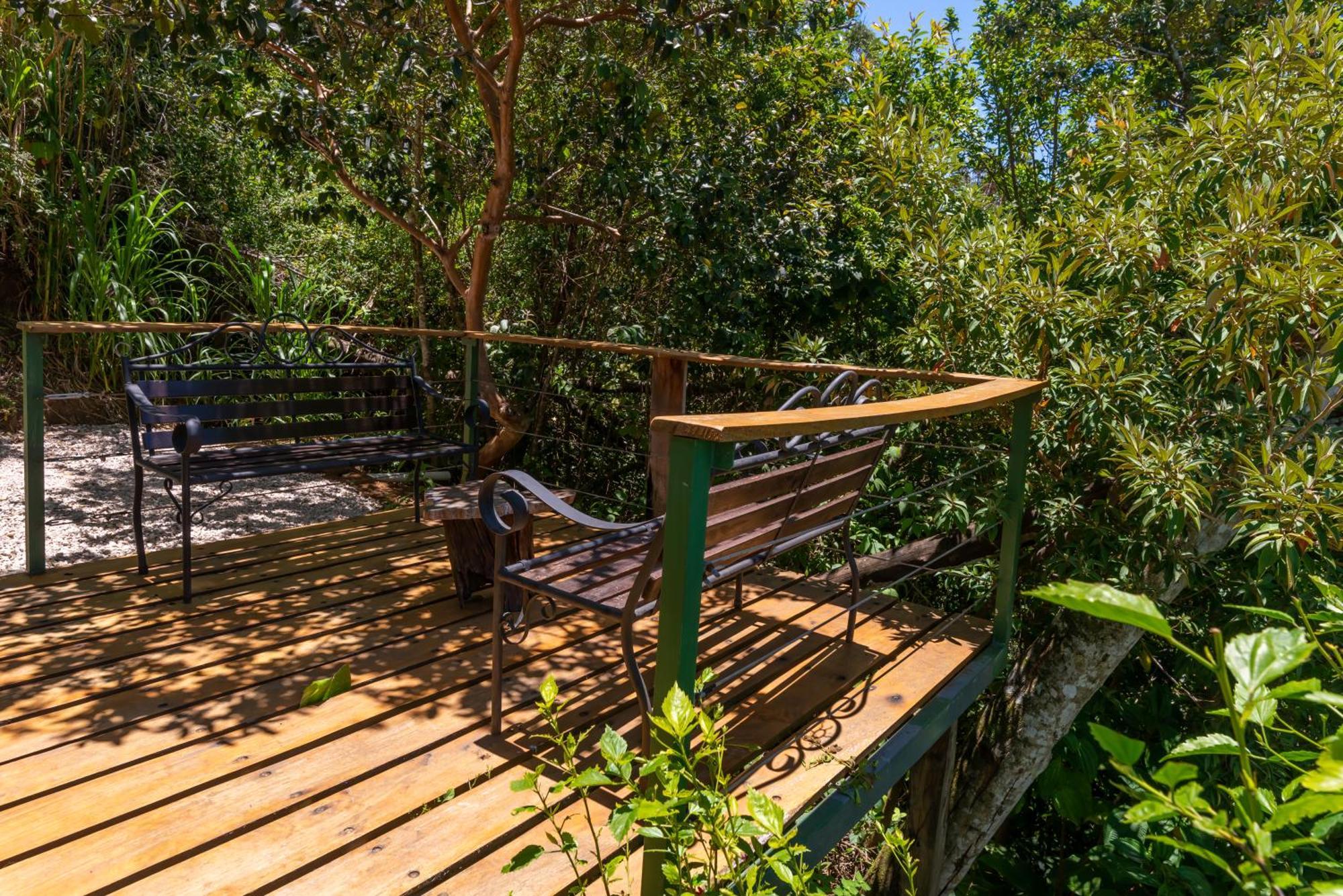 Cabinas Capulin & Farm Monteverde 외부 사진