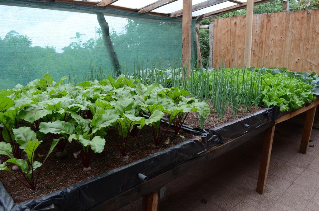 Cabinas Capulin & Farm Monteverde 외부 사진